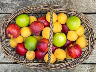 饭后立即吃水果不可取,原因很简单